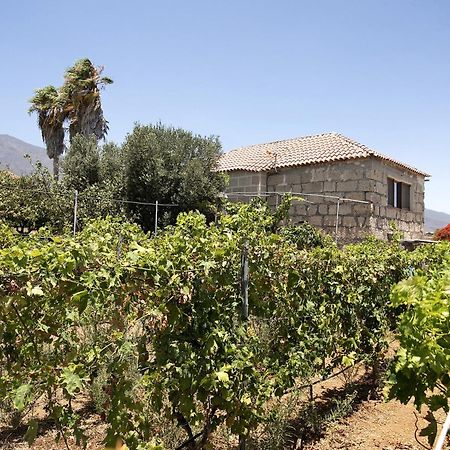 Las Tres Palmeras Güimar Eksteriør bilde