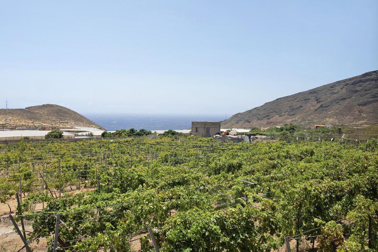 Las Tres Palmeras Güimar Eksteriør bilde
